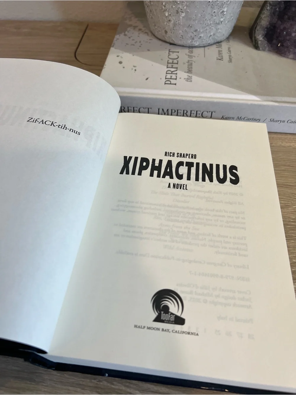 Xiphactinus Rich Shapero Hardcover Book 2025 Silicon Valley Satire Fiction⁠